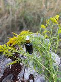 Magic Hair Oil