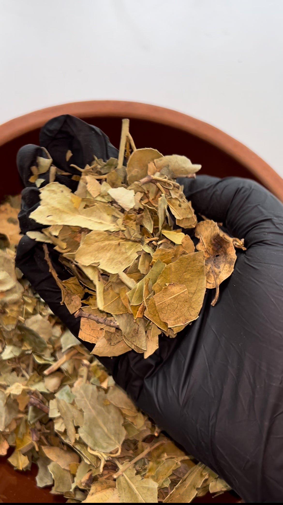 100% Pure Sidr Leaf Powder – Natural