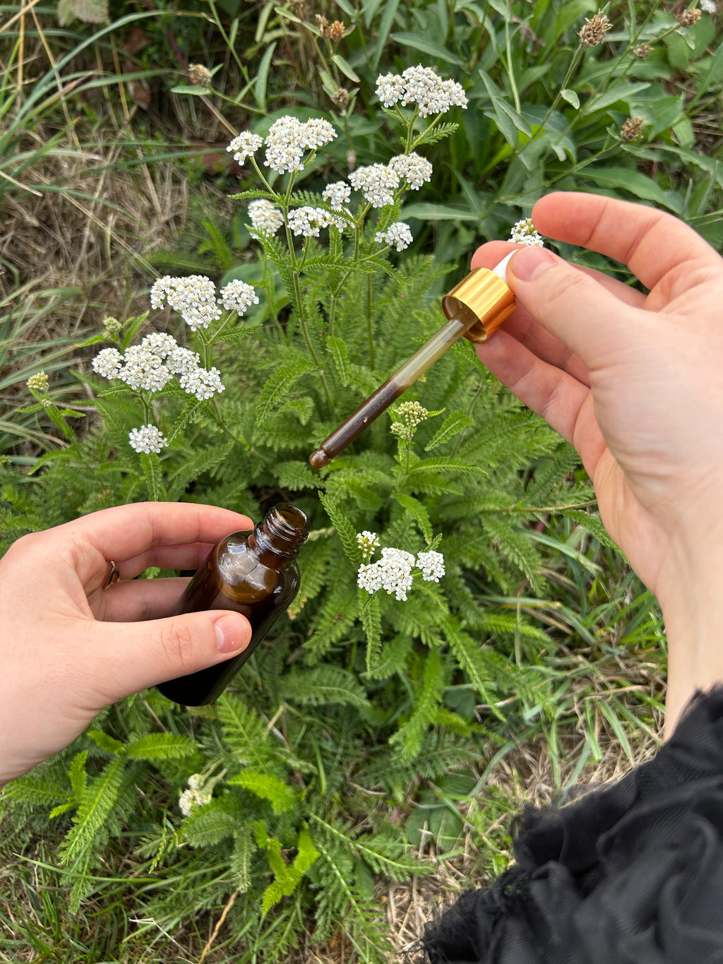 Magic Hair Oil